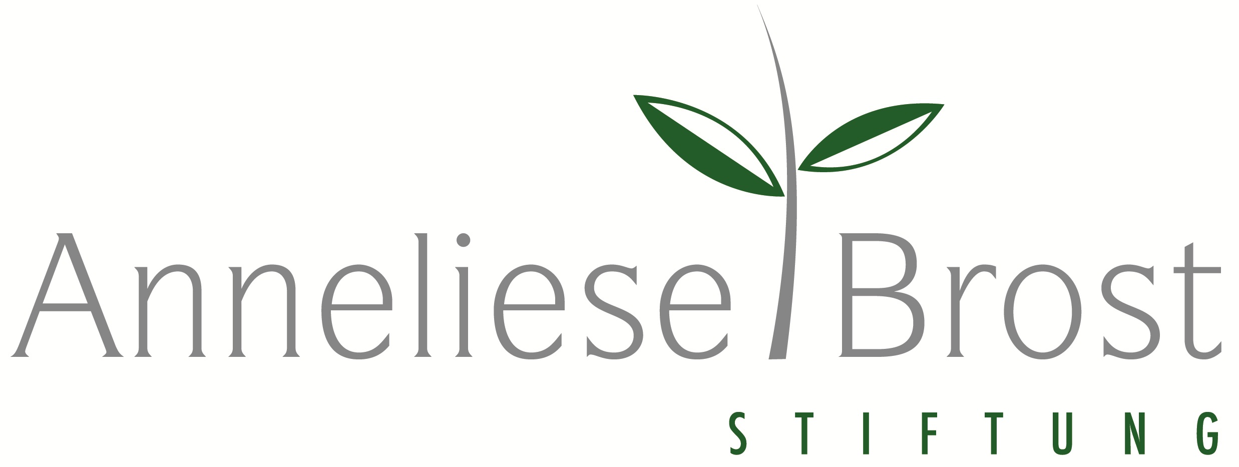 anneliese Brost Stiftung